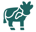 Qurbani